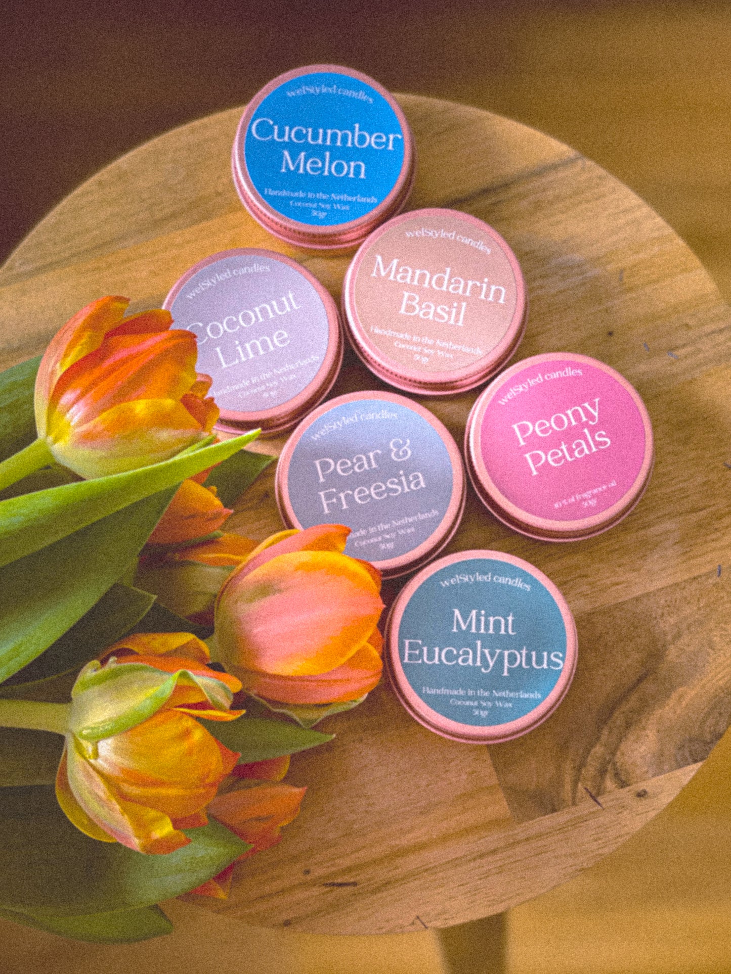 Spring Discovery Kit