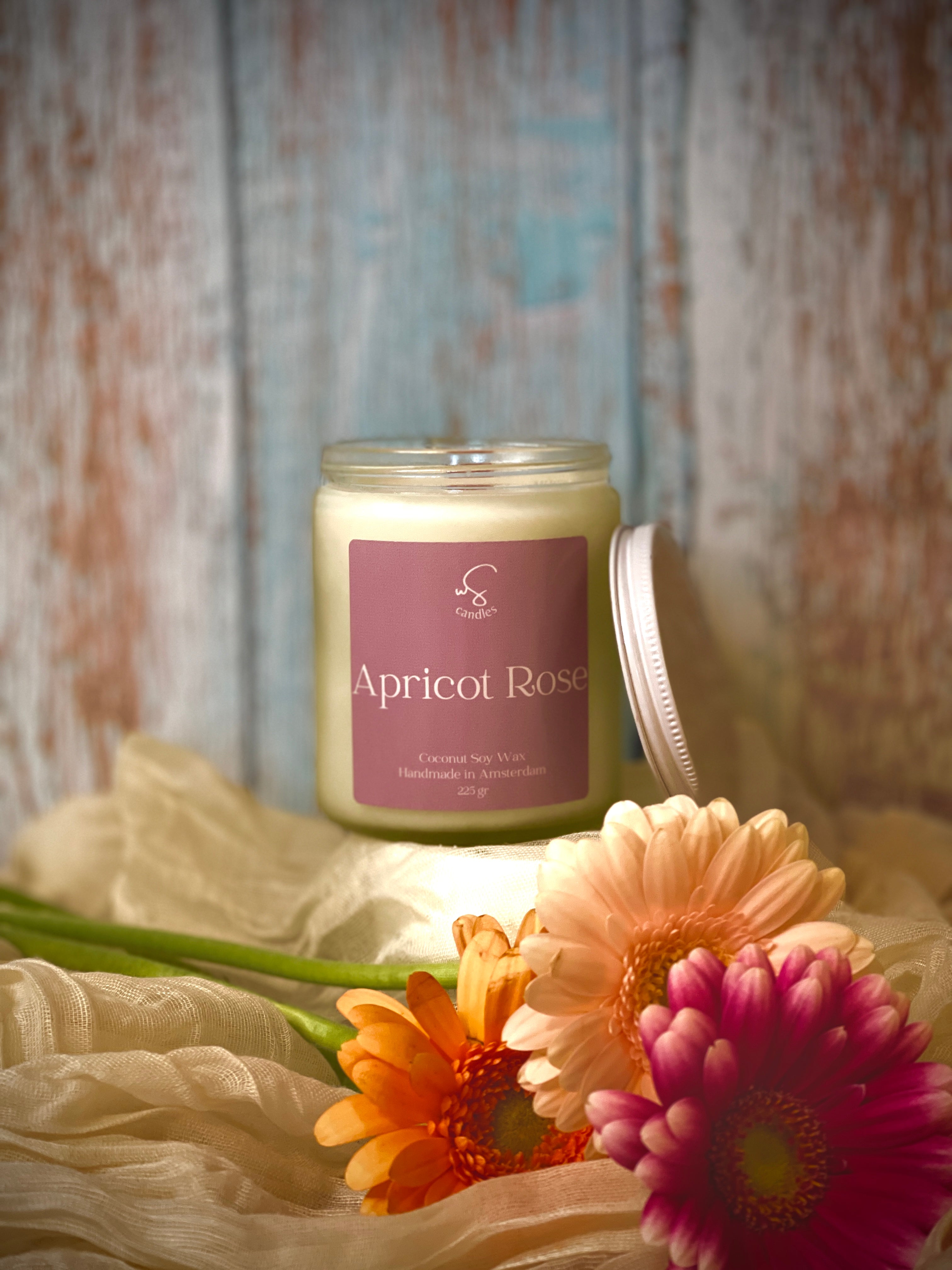 Apricot Rose